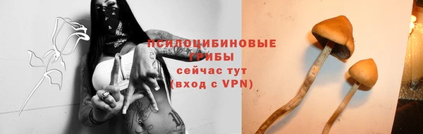 крисы Россошь
