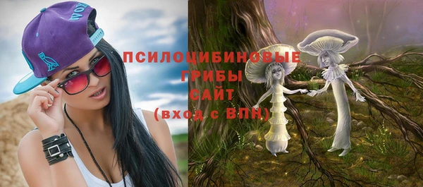 тгк Алексин