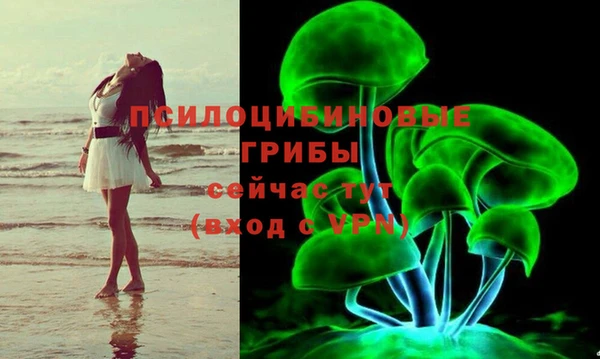 тгк Алексин