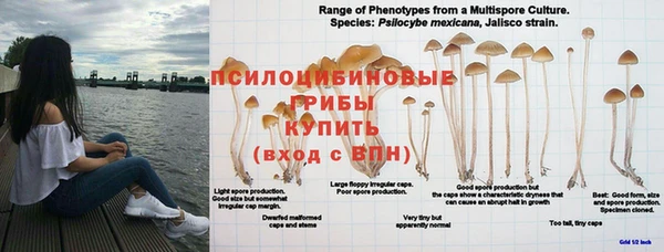 прущая мука Ростов