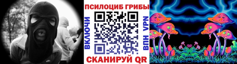 Галлюциногенные грибы Psilocybe  дарнет шоп  Карачаевск 